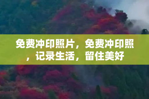 免费冲印照片，免费冲印照，记录生活，留住美好