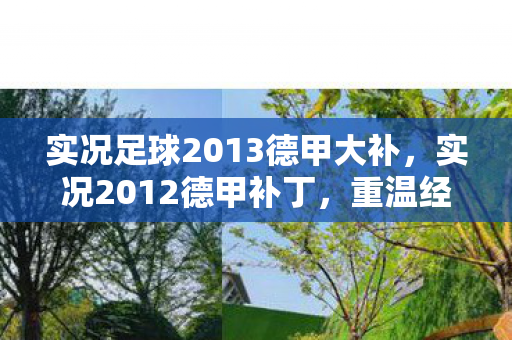 实况足球2013德甲大补，实况2012德甲补丁，重温经典，再现辉煌