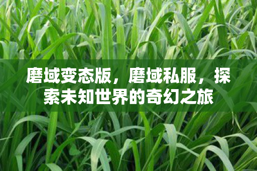 探索未知世界的奇幻之旅图片