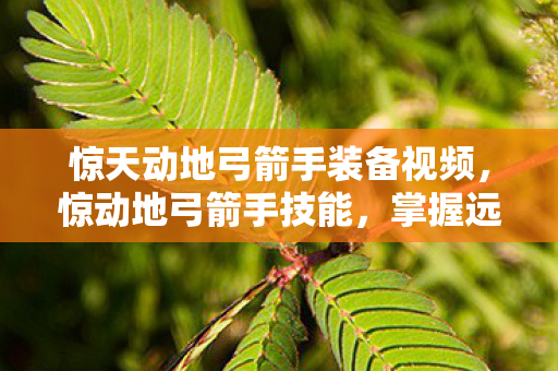 惊天动地弓箭手装备视频图片