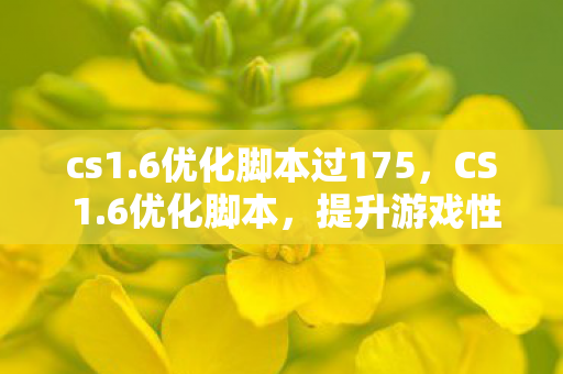cs1.6优化脚本过175，CS 1.6优化脚本，提升游戏性能与体验