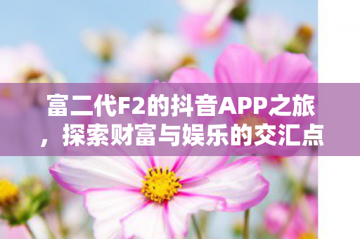 富二代F2的抖音APP之旅图片