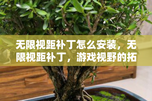 无限视距补丁怎么安装图片