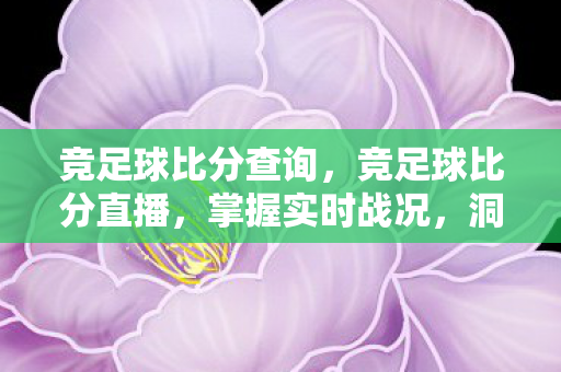 竞足球比分查询图片