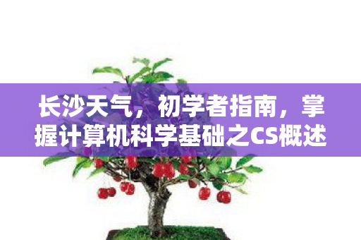 长沙天气，初学者指南，掌握计算机科学基础之CS概述