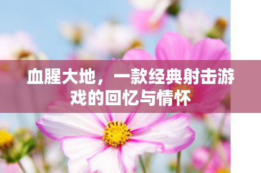 一款经典射击游戏的回忆与情怀图片