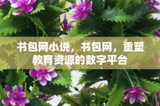 重塑教育资源的数字平台图片