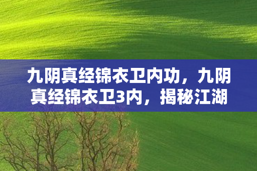 揭秘江湖中的隐秘势力图片