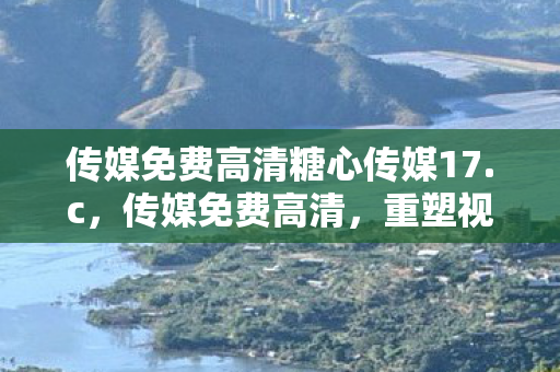 传媒免费高清糖心传媒17图片