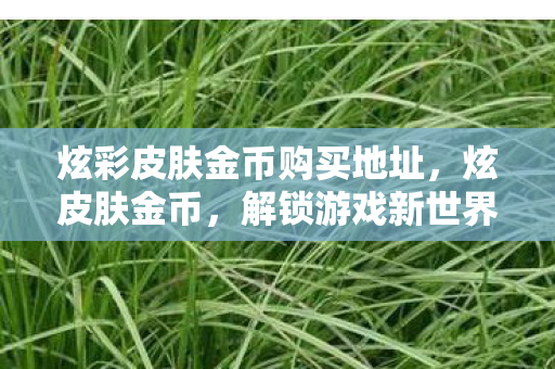 炫彩皮肤金币购买地址图片