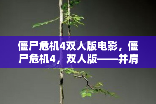 僵尸危机4双人版电影图片