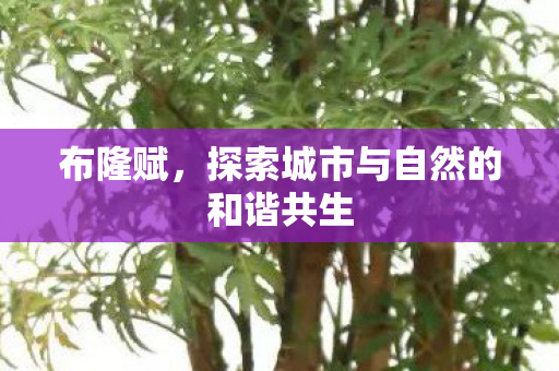 探索城市与自然的和谐共生图片