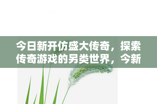 探索传奇游戏的另类世界图片