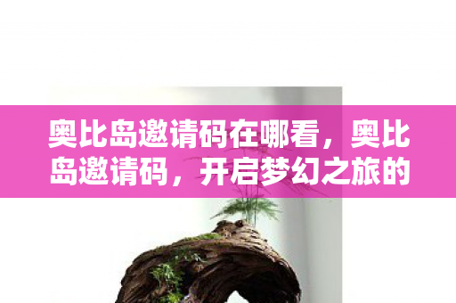 奥比岛邀请码在哪看图片