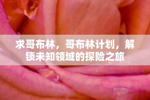 解锁未知领域的探险之旅图片