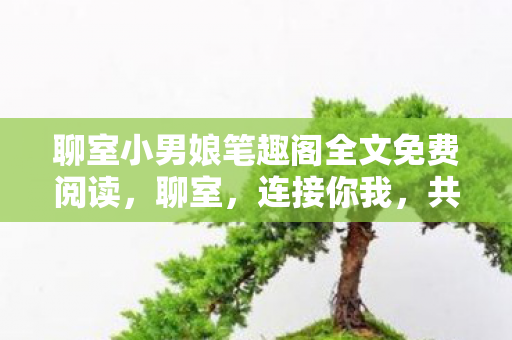 聊室小男娘笔趣阁全文免费阅读图片