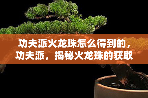 功夫派火龙珠怎么得到的图片