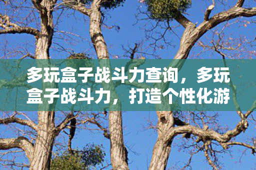 打造个性化游戏世界的秘密武器图片