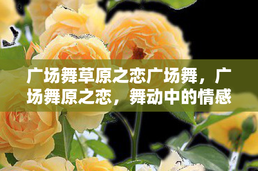 广场舞草原之恋广场舞图片