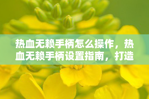 热血无赖手柄怎么操作图片