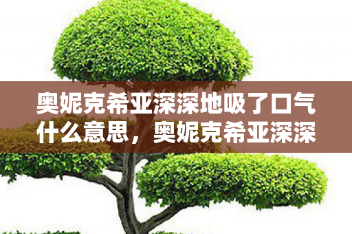 奥妮克希亚深深地吸了口气什么意思图片