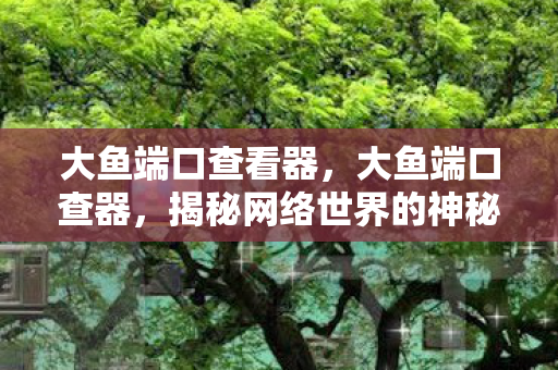 揭秘网络世界的神秘入口图片