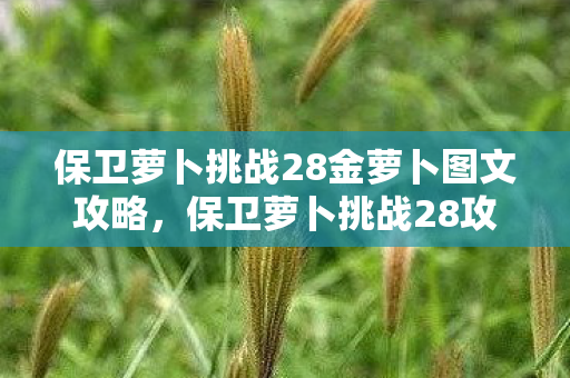 保卫萝卜挑战28金萝卜图文攻略图片