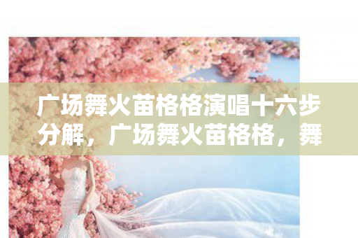 广场舞火苗格格演唱十六步分解图片