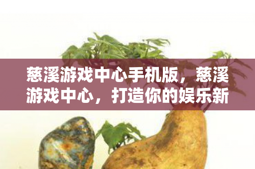 慈溪游戏中心手机版图片