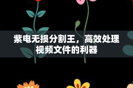 高效处理视频文件的利器图片