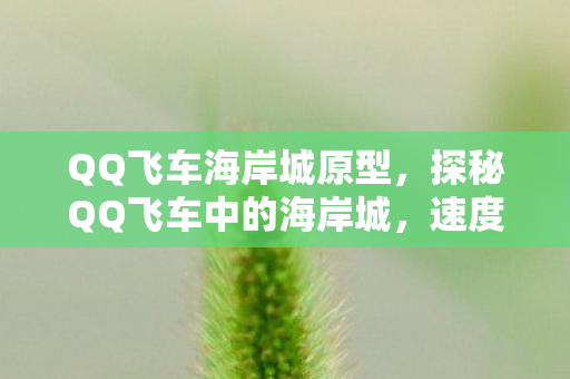 探秘QQ飞车中的海岸城图片
