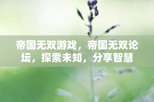 帝国无双游戏图片