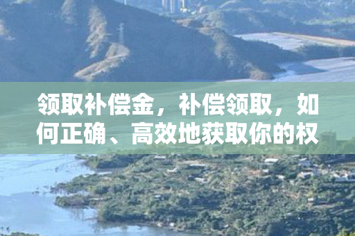 高效地获取你的权益图片