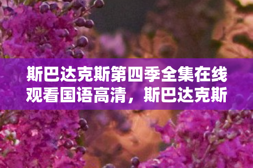 斯巴达克斯第四季全集在线观看国语高清图片