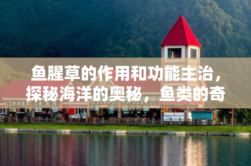 鱼腥草的作用和功能主治图片