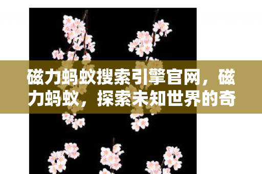 探索未知世界的奇妙旅程图片