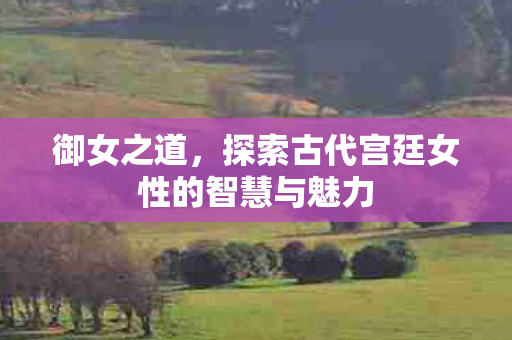 探索古代宫廷女性的智慧与魅力图片