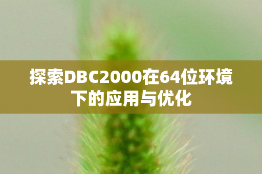 探索DBC2000在64位环境下的应用与优化图片