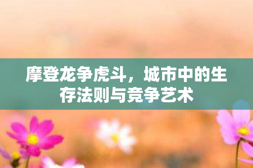 城市中的生存法则与竞争艺术图片