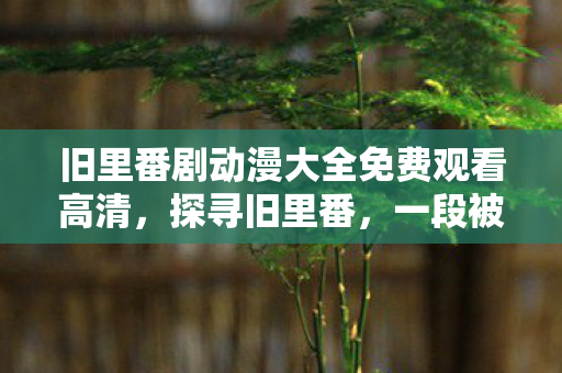 旧里番剧动漫大全免费观看高清图片