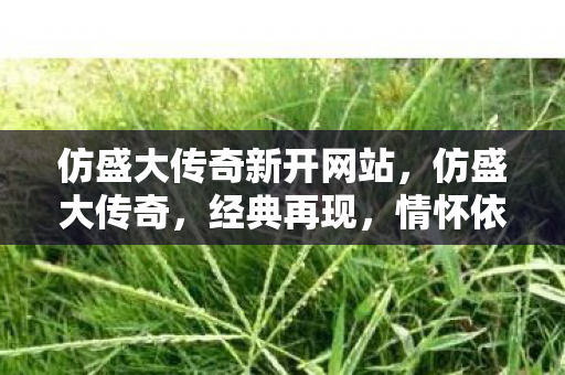 仿盛大传奇新开网站图片