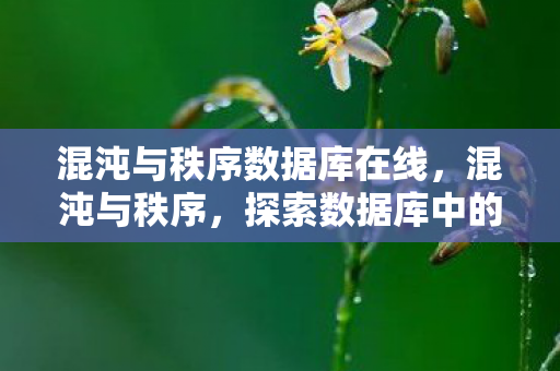 探索数据库中的秩序之美图片