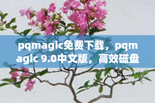 pqmagic免费下载图片