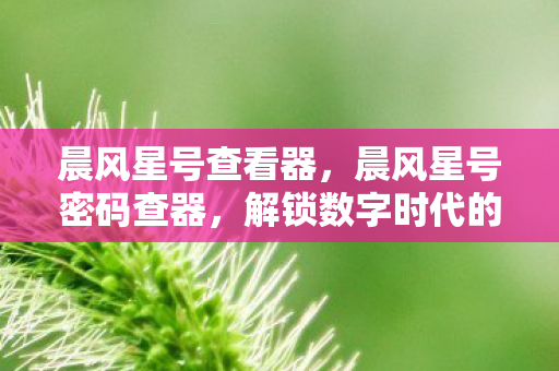 解锁数字时代的隐私之门图片