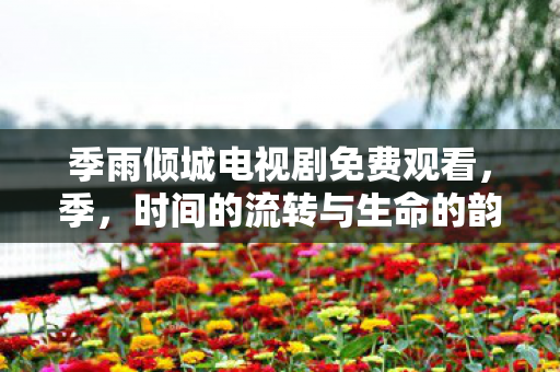 季雨倾城电视剧免费观看图片