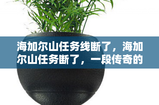 一段传奇的终结与新的开始图片