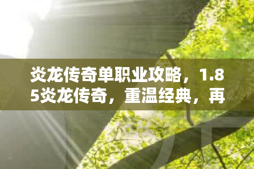 炎龙传奇单职业攻略图片