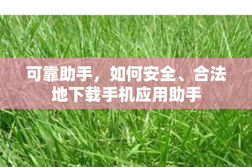 合法地下载手机应用助手图片