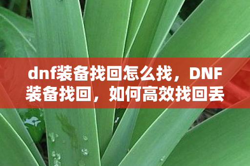 如何高效找回丢失的珍贵装备图片