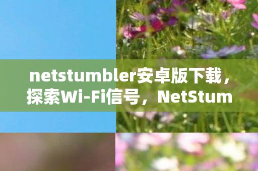 netstumbler安卓版下载图片